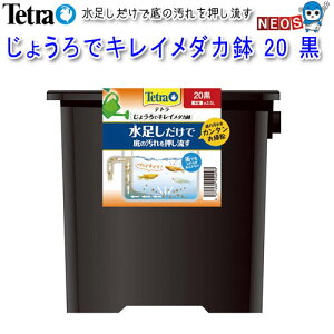 eg@傤ŃLC_J@20@