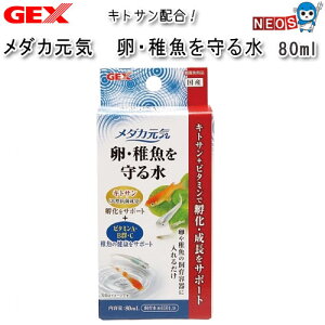 GEX@_JC Et鐅@80mly/Mы/Ϗ܋/zýzyʔ/̔zyANAE/肤ށzy^z