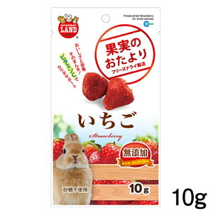 }J@ʎ̂ @10g@ML-84y/a//GTzynX^[//X/bgzyz