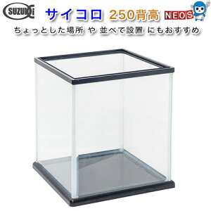 ؐ쏊@KX@TCR250w@@255×255×304mm@y񂹕iz