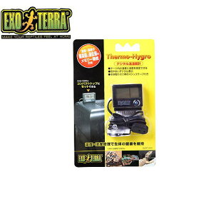 GEX@fW^xv@PT2470y/Mы/Ϗ܋/zýzyʔ/̔zyANAE/肤ށzy^z