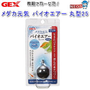 GEX@_JC@oCIGA[@ی^25