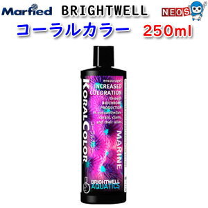 マーフィード Brightwell コーラルカラー 250ml 【取寄商品】【餌 えさ エサ】【観賞魚 餌やり】【水槽/熱帯魚/観賞魚/飼育】【生体】【通販/販売】【アクアリウム/あくありうむ】【小型