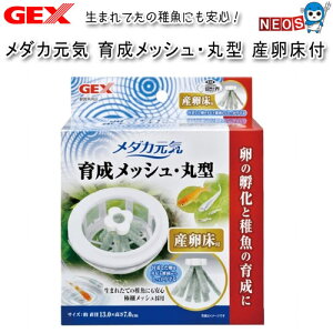 GEX@_JC@琬bVEی^@Yt