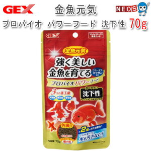 GEX@C voCIp[t[h  70g @Fg@ya  GTzyϏ܋@azy/Mы/Ϗ܋/zýzyʔ/̔zyANAE/肤ށz