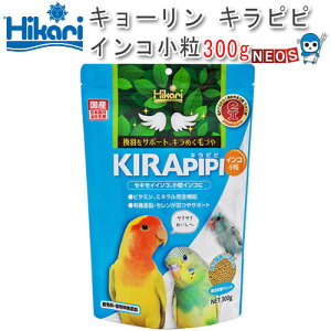 L[@Lss CR@ 300gy/a//GTzynX^[//X/bg/zyz