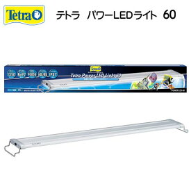 テトラ パワーLEDライト　60　【水槽/熱帯魚/観賞魚/飼育】【生体】【通販/販売】【アクアリウム/あくありうむ】【小型】