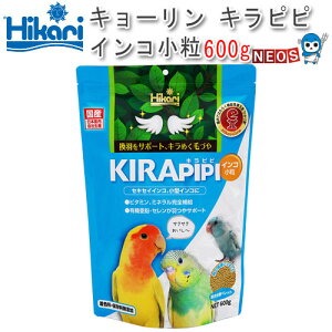 L[@Lss CR@ 600gy/a//GTzynX^[//X/bg/zyz