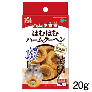 }J@n^H@͂ނ͂ރn[N[w@20g@ML-142y/a//GTzynX^[//X/bgzyz