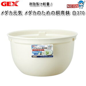 GEX@_JC@_Ĵ߂̎甫@370y/Mы/Ϗ܋/zýzyʔ/̔zyANAE/肤ށzy^z