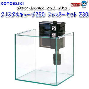 RguL@NX^L[u250@tB^[Zbg@Z30