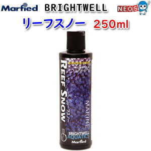 }[tB[h@Brightwell@[tXm[@250ml@y񏤕iz