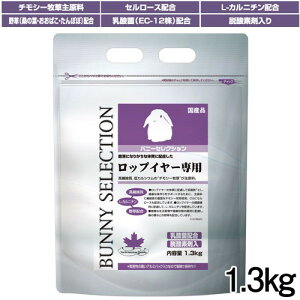 C[X^[@oj[ZNV@bvC[p@1.3kgy/a//GTzynX^[//X/bg/zyz