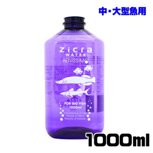 WN@EH[^[iE^pj@1000ml@y/Mы/Ϗ܋/zýzyʔ/̔zyANAE/肤ށzy^z