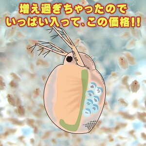 (a)( IXX)^}~WR@1000ml@1000C`@i1܁j
