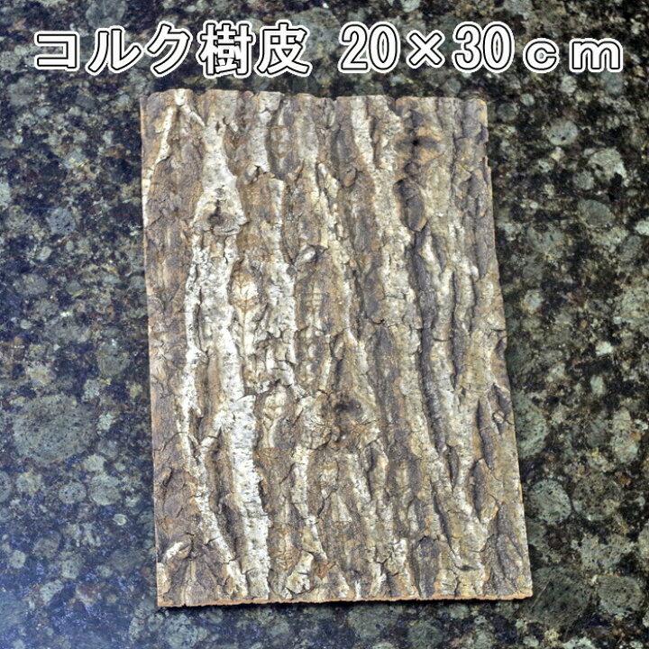 楽天市場】コルク樹皮 20×30cm 厚1cm以下 1枚 バーク : ネオス 
