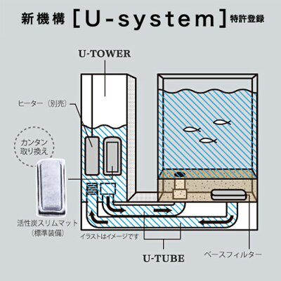 GEXAQUA-U(アクアユー)【水槽/熱帯魚/観賞魚/飼育/セット水槽/オブジェ】【生体】【通販/販売】【アクアリウム】