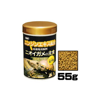 楽天市場 イカ 小型 匹の通販