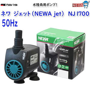 J~n^@l WFbg (NEWA Jet)@NJ1700i50Hzj