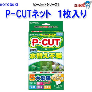 RguL@PECUTlbg60(s[Jbg lbg60)@1