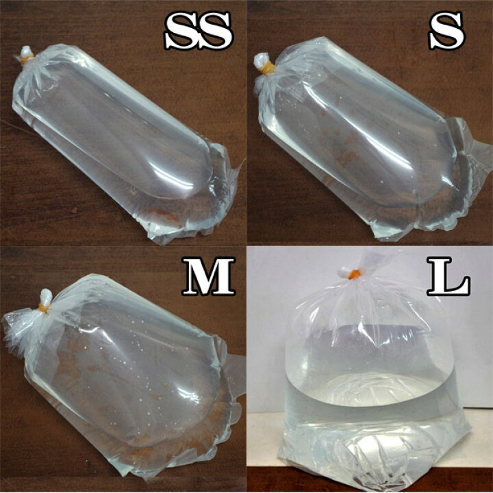 楽天市場 ネオス 観賞魚用丸底ビニール袋 Ss S M Lサイズセット 各袋5枚 輪ゴム40本 水槽 熱帯魚 観賞魚 飼育 生体 通販 販売 アクアリウム あくありうむ 小型 ネオス 楽天市場店