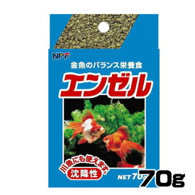 楽天市場 金魚 えさ 沈むの通販