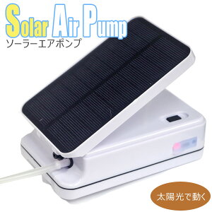 水槽 エアーポンプ フィルターの人気商品 通販 価格比較 価格 Com