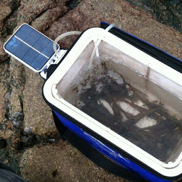 楽天市場 ソーラー充電式 屋外エアーポンプ 防水 分岐 電動 蓄電 酸素ポンプ 太陽光充電 小型 静音 アウトドア クーラーボックス 水槽用 ブクブク ぶくぶく 低振動 池 金魚 釣り フィッシング エアレーション エア Usb バッテリー ポータブル ストーン付 アクアリウム