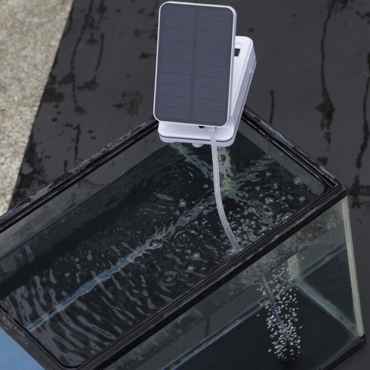 楽天市場 ソーラー充電式 屋外エアーポンプ 防水 分岐 電動 蓄電 酸素ポンプ 太陽光充電 小型 静音 アウトドア クーラーボックス 水槽用 ブクブク ぶくぶく 低振動 池 金魚 釣り フィッシング エアレーション エア Usb バッテリー ポータブル ストーン付 アクアリウム