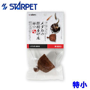 Xh[@_J̞LijYi)S-5783 yVzy/Mы/Ϗ܋/zýzyʔ/̔zyANAE/肤ށzy^z