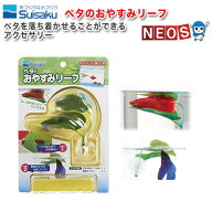 水作　ベタのおやすみリーフ【水槽/熱帯魚/観賞魚/飼育】【生体】【通販/販売】【アクアリウム/あくあり…