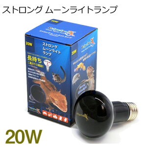 �[���X�C�@�X�g�����O ���[�����C�g�����v�@20W�@�y��񏤕i�z�y����/�M�ы�/�Ϗ܋�/����z�y���́z�y�ʔ�/�̔��z�y�A�N�A���E��/�������肤�ށz�y���^�z