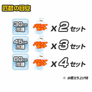 【バリューセット】▼シマカノコ貝(約-cm)(5匹)+石巻貝(約-cm)(5匹)