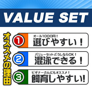 【バリューセット】▼シマカノコ貝(約-cm)(5匹)+石巻貝(約-cm)(5匹)