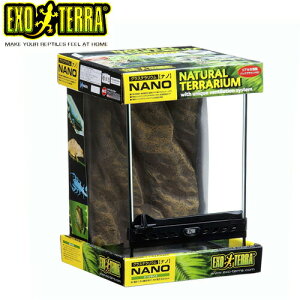 GEX EXO TERRAiGL]ej@OXeE@im(W21.5×D21.5×H33.0cm)y/Mы/Ϗ܋/zýzyʔ/̔zyANAE/肤ށzy^z