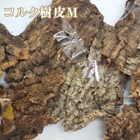 楽天市場 樹皮の通販