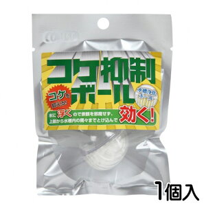 Rbg@RP}{[@1y/Mы/Ϗ܋/zýzyʔ/̔zyANAE/肤ށzy^z