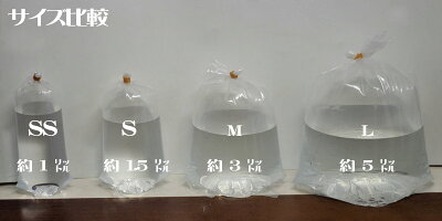 楽天市場 ネコポス290円ネオス 観賞魚用丸底ビニール袋 Sサイズ 袋10枚 輪ゴム本 水槽 熱帯魚 観賞魚 飼育 生体 通販 販売 アクアリウム あくありうむ ネオス 楽天市場店