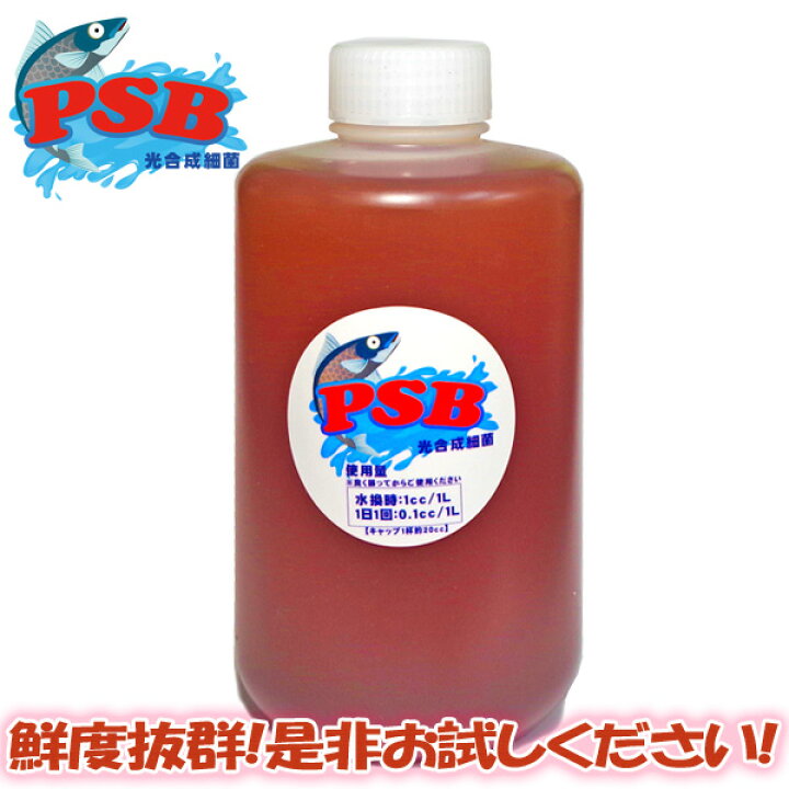 楽天市場 新発売限定特価 鮮度が違う 1000ml 生きたバクテリア Psb 光合成細菌 発送日採集菌 光合成細菌 淡水 海水用 バクテリア 新着 水槽 熱帯魚 観賞魚 飼育 生体 通販 販売 アクアリウム あくありうむ 小型 ネオス 楽天市場店 楽天市場 新発売限定特価 鮮度が違う 1000ml 生きたバクテリア Psb 光合成細菌 発送日採集菌 光合成細菌 淡水 海水用 バクテリア 新着 水槽 熱帯魚 観賞魚 飼育 生体 通販 販売 アクアリウム あくありうむ 小型 ネオス 楽天市場店