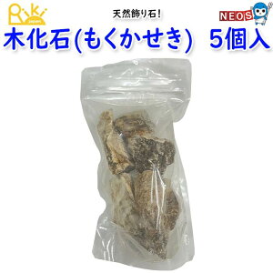 リキジャパン 天然飾り石 木化石(もくかせき) 5個入