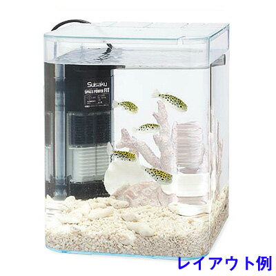 水作リトルアクアリウムミドリフグ飼育基本5+2点セット【水槽セット】【水槽/熱帯魚/観賞魚/飼育】【生体】【通販】