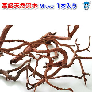  CAEgp@VR}M@ y`󂨂܂z@y/Mы/Ϗ܋/zýzyʔ/̔zyANAE/肤ށzy^z