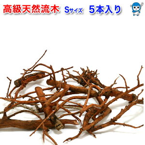  CAEgp@VR}S@ y`󂨂܂z@5{y/Mы/Ϗ܋/zýzyʔ/̔zyANAE/肤ށzy^z