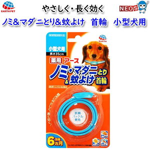 A[X Eybg@pA[X@m~}_jƂ聕悯ց@^p