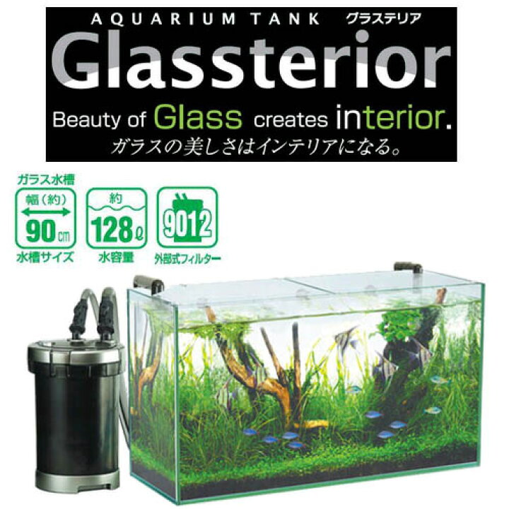 楽天市場】GEX グラステリア900 6点セット［取寄せ商品］【大型送料要 