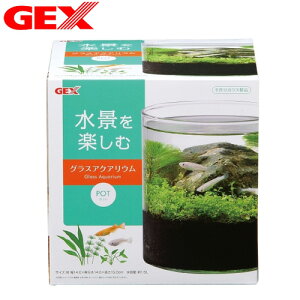 ジェックス 小型水槽 水槽の人気商品 通販 価格比較 価格 Com