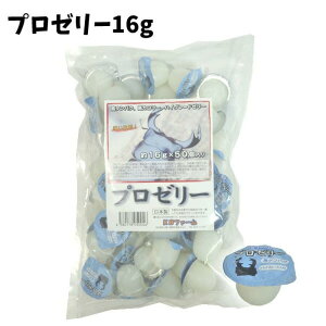 KBt@[@v[[@16g@5