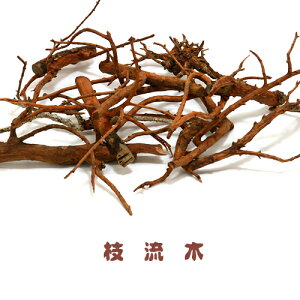  CAEgp@VR}S@ y`󂨂܂z@y/Mы/Ϗ܋/zýzyʔ/̔zyANAE/肤ށzy^z