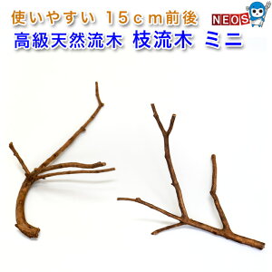 }؁@~jTCY(15cm)
