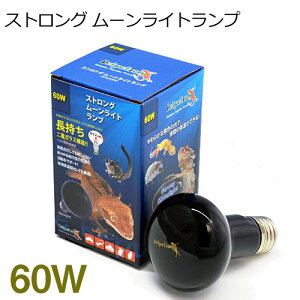 �[���X�C�@�X�g�����O ���[�����C�g�����v�@60W�@�y��񏤕i�z�y����/�M�ы�/�Ϗ܋�/����z�y���́z�y�ʔ�/�̔��z�y�A�N�A���E��/�������肤�ށz�y���^�z